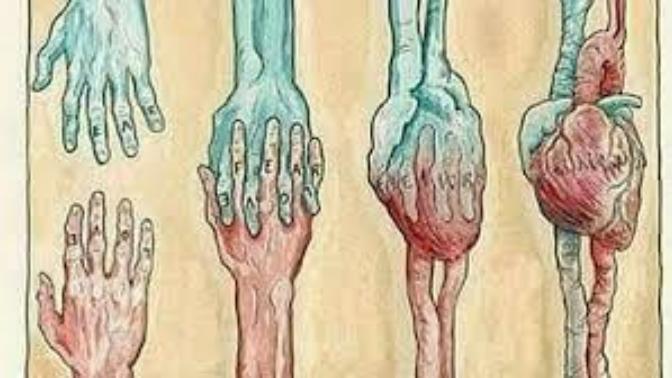 Kalbin pusulası nedir?