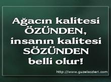 Sizce bir insanın kalitesi nasıl anlaşılır:?