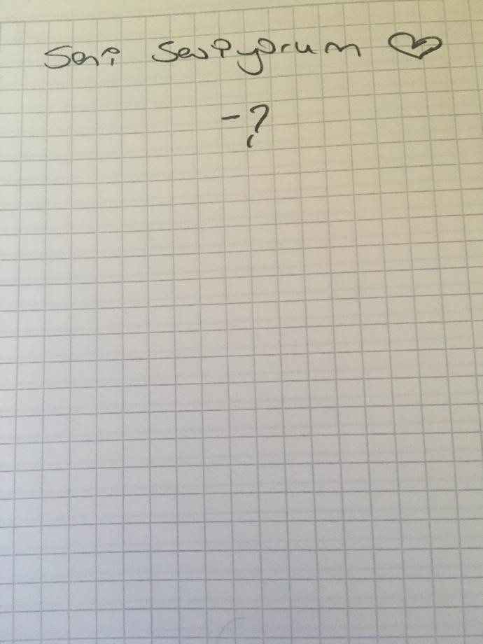Biri defterime seni seviyorum yazmış neyapayım ?