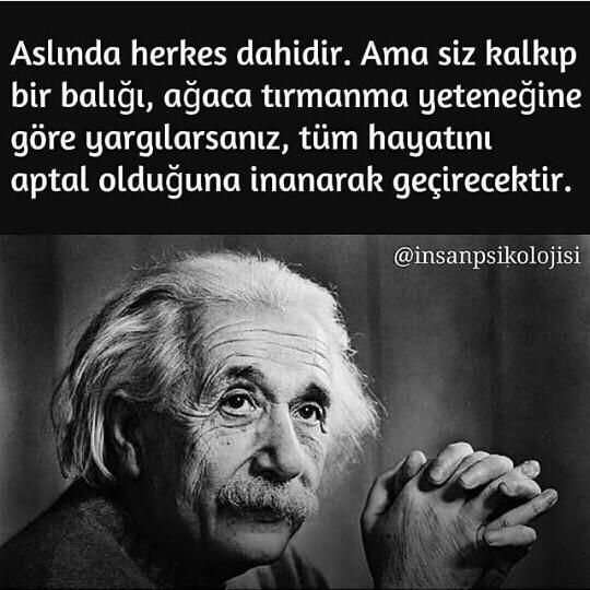 Bir insan herşeyi bilmek zorunda değildir, bilmiyorsa aşağılamak insanlığa yakışır mi ?