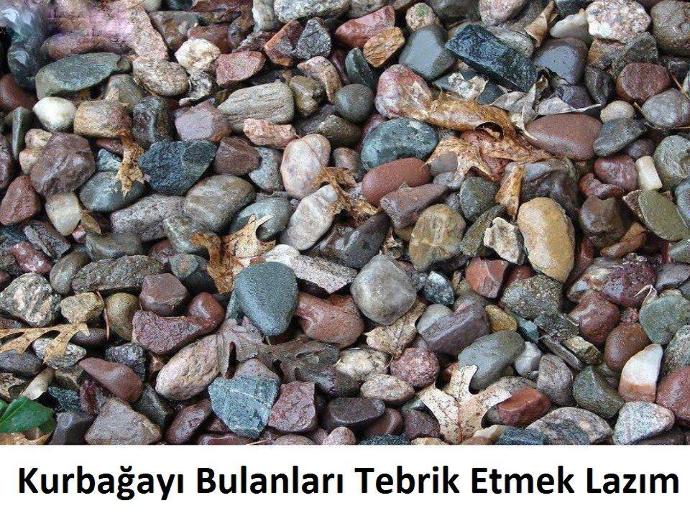 Resimdeki kurbağayı kim bulabilir?