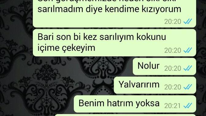 Yapabileceğim daha ne kaldı. (Resimli)?