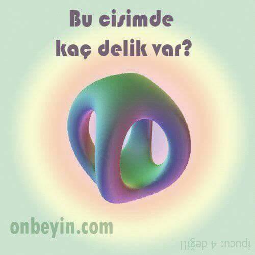 Bu cisimde kaç delik var ?