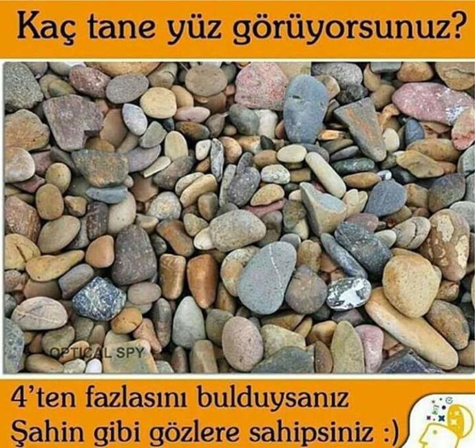 Kaç tane yüz görüyorsunuz ?