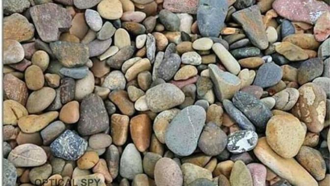 Kaç tane yüz görüyorsunuz?