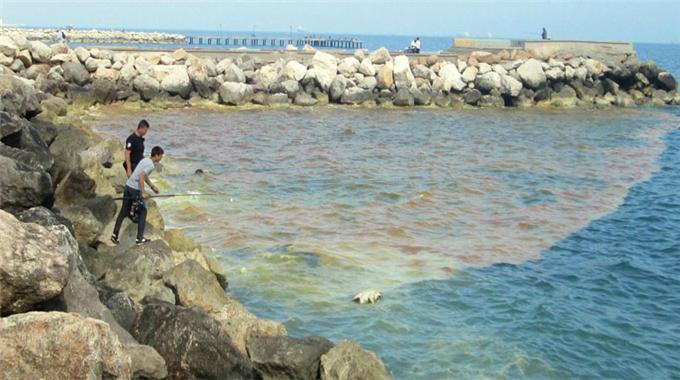 Antalya sahilleri berrak ve temizken, Mersin sahilleri neden bulanık ve kirli?