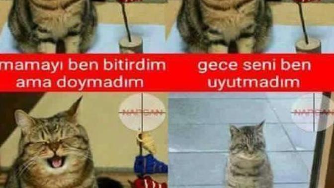 Şakacı olmak mı iyi ciddi olmak mı?
