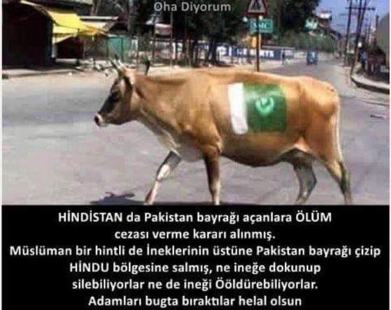 Hindistan'da ineğe Pakistan bayrağı resmi çizseler ne olur sizce ?