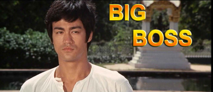 Bruce Lee'nin en beğendiğiniz filmi hangisidir?
