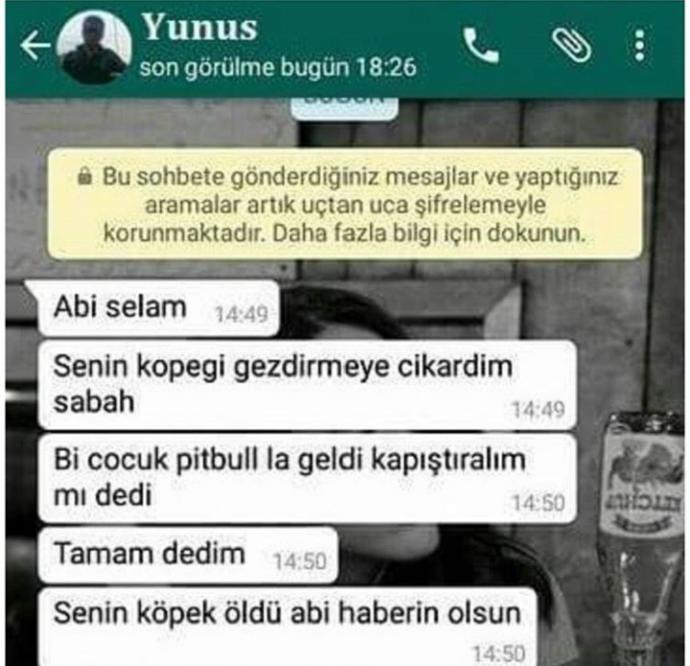Böyle pişkin ve sorumsuz insanlar hakkında ne düşünüyorsunuz 😒?