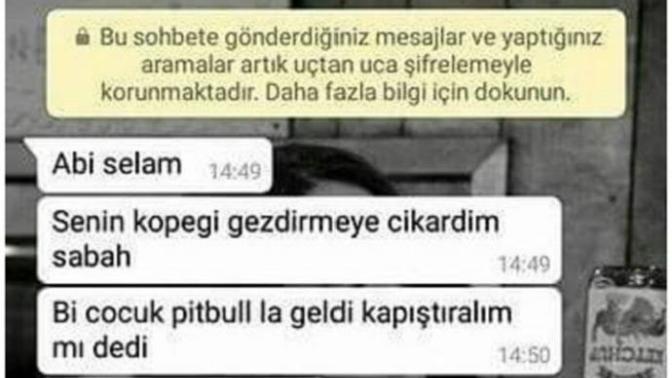 Böyle pişkin ve sorumsuz insanlar hakkında ne düşünüyorsunuz 😒?