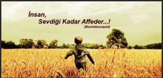 Siz bu konuda ne düşünüyorsunuz?