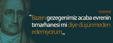 Dünyanın evrenin tımarhanesi olduğunu düşünen varmı?