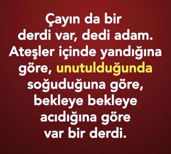 Cayin bile derdi varken dertsiz olmak imkansiz degil mi ?