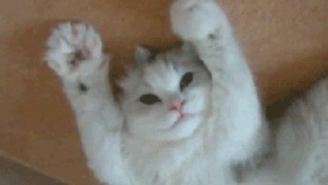 Kimlerin sicili temiz?