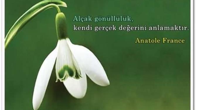 Alçak gönüllü ne demek? Siz alcak gönüllümüsünüz?
