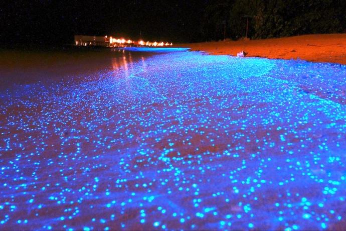 Vaadhoo Adası Mavi Sahili hiç görmüşmüydün?
