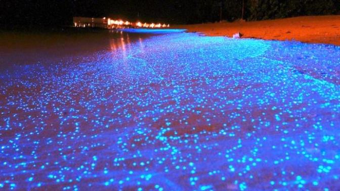 Vaadhoo Adası Mavi Sahili hiç görmüşmüydün?