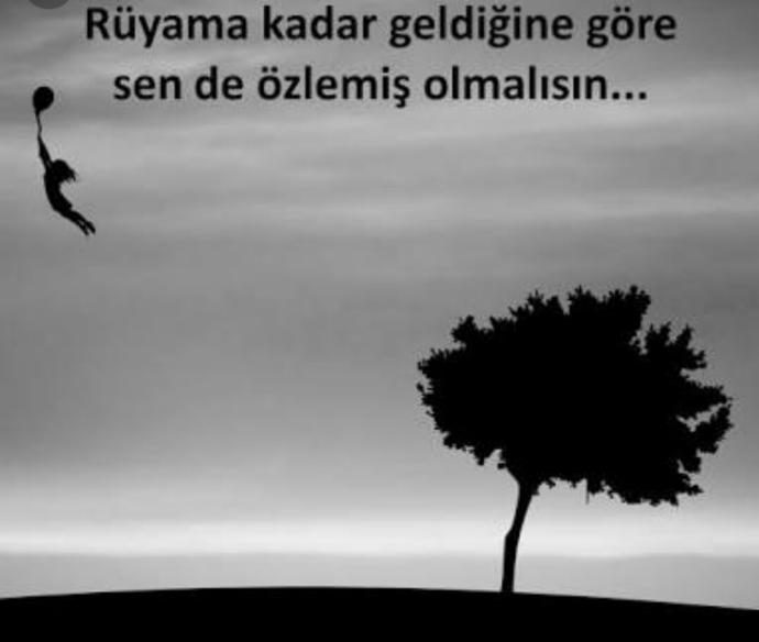 "Rüyama kadar geldiğine göre sen de özlemiş olmalısın." sözü doğru mu sizce?
