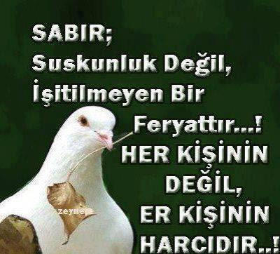 Sabır denince ilk aklına gelen şey nedir?
