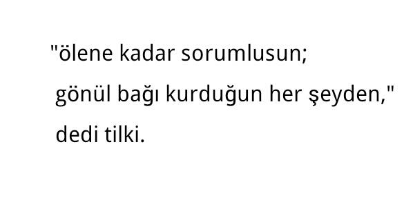Gönül bağı kurduğumuz her şeyden ölene kadar sorumlu muyuz?