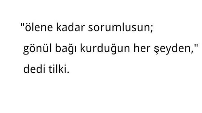Gönül bağı kurduğumuz her şeyden ölene kadar sorumlu muyuz?