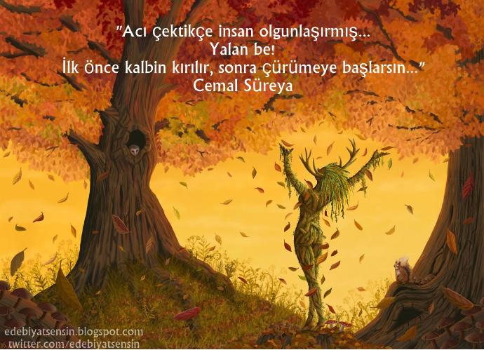 İnsan ne zaman olgunlaşır?