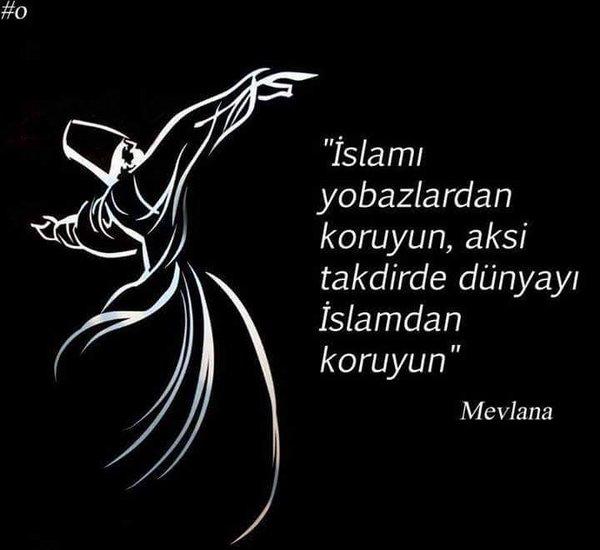 Mevlananın bu güzel sözü hakkında ne düşünüyorsunuz ?