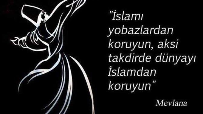 Mevlananın bu güzel sözü hakkında ne düşünüyorsunuz?