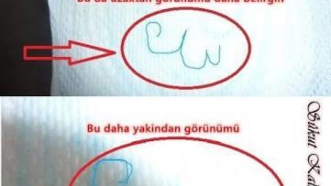 Orkid Allah yazısı :( ?