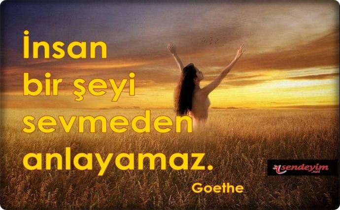 Bu hayatta seni seven kaç kişi var ?