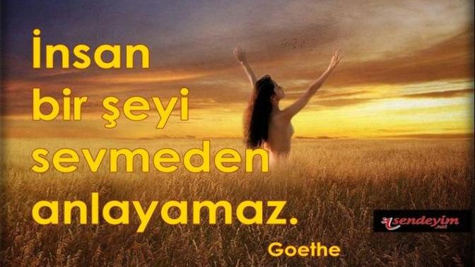 Bu hayatta seni seven kaç kişi var?