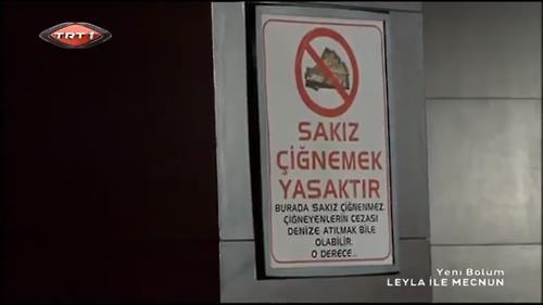 Leyla ile Mecnun dizisinde sakızın sigara muamelesi görmesi hakkında ne düşünüyorsunuz?