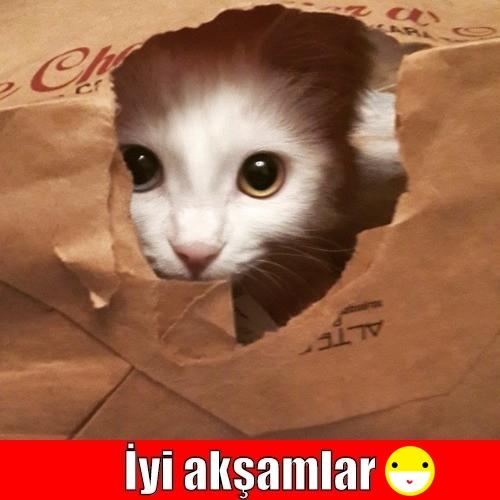 İltifat Edilmesinden Ve Övülmesinden Hoşlanmam Sizce Ben Anormal Miyim ?