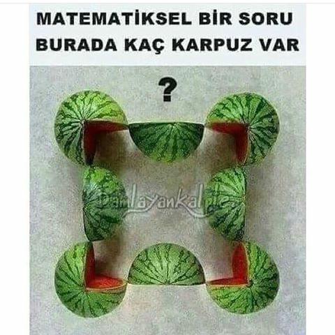 Resimde kaç karpuz var?
