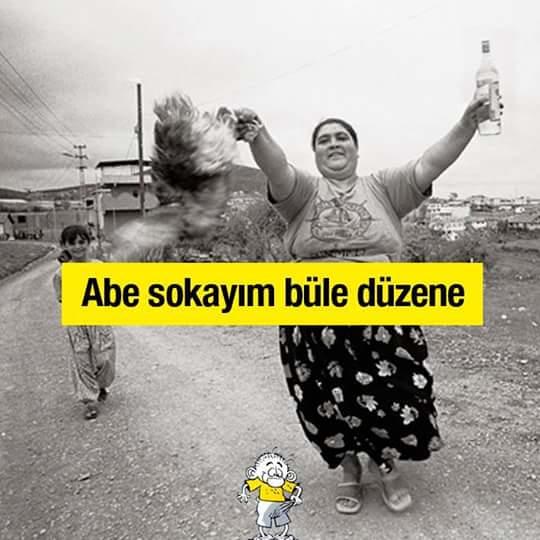 Bulunduğumuz düzenden memnun musunuz?