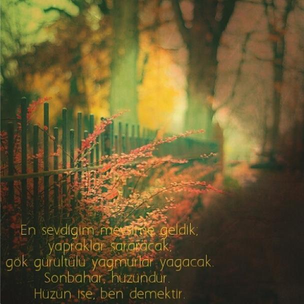Sonbahar size ne çağrıştırıyor?
