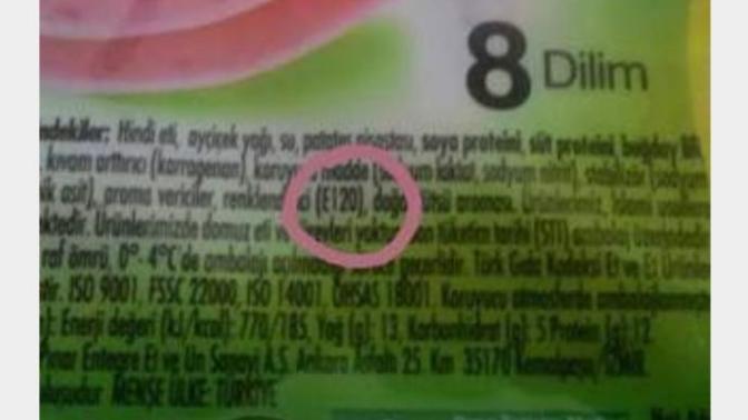 E120 carmin böceği olan gidaları biliyor musunuz?