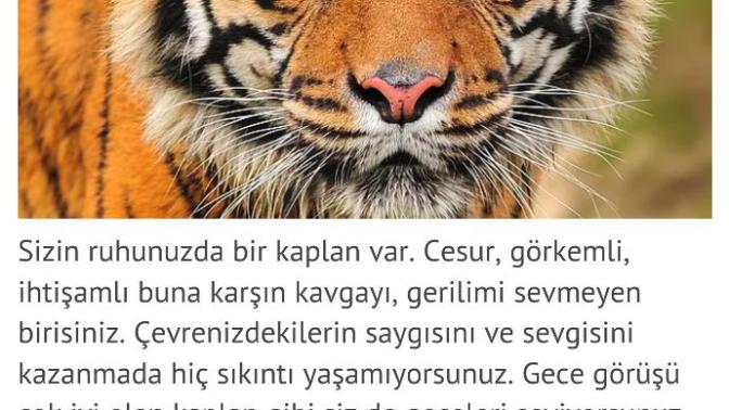 Hangi hayvan senin ruh eşin😇?