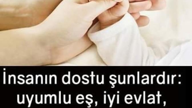 Size göre bir insanın en iyi "dostu" kimdir?