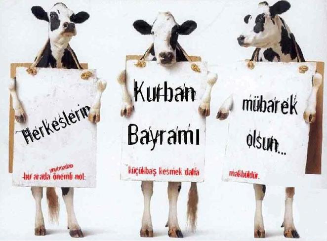 Kurban Bayramı hazırlıkları ne durumda? Neler yaparsınız bayramlarda?