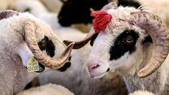 Kurban Bayramı hazırlıkları ne durumda? Neler yaparsınız bayramlarda?