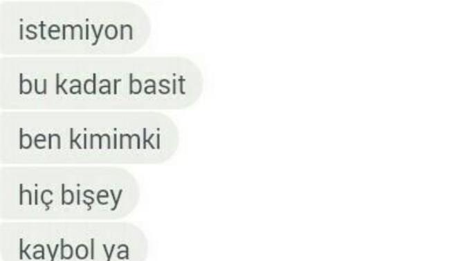 Sizce tekrar yazar mı (Resimli)?