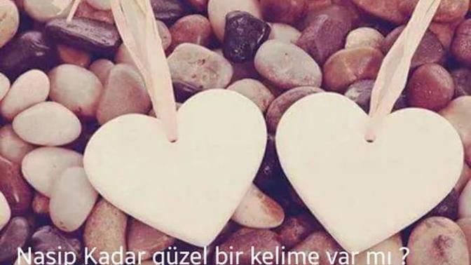 Size göre "kul kaderini" mi yaşar 😇🌹?