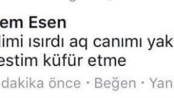 Kuşunun Kalbini Söken Kız Hakkında Düşünceleriniz?