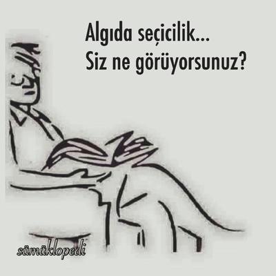 Algıda seçicilik (resime bakınca ne görüyorsunuz)?