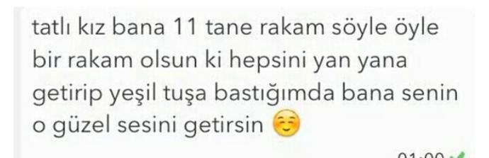 Bana öyle sayılar söyle ki..? (Resimli)?