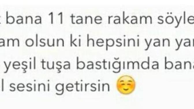 Bana öyle sayılar söyle ki? (Resimli)?