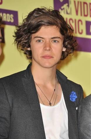 Harry Styles'ı nasıl buluyorsunuz saçı tipi falan?