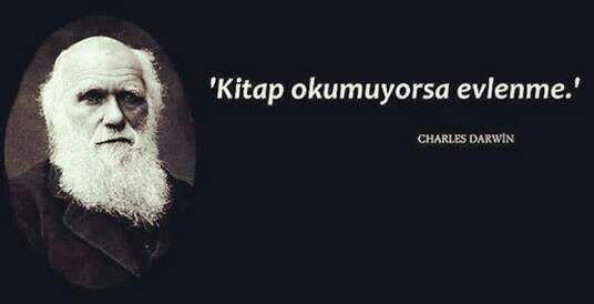 Kitap okumayan biriyle sizce evlenilir mi?